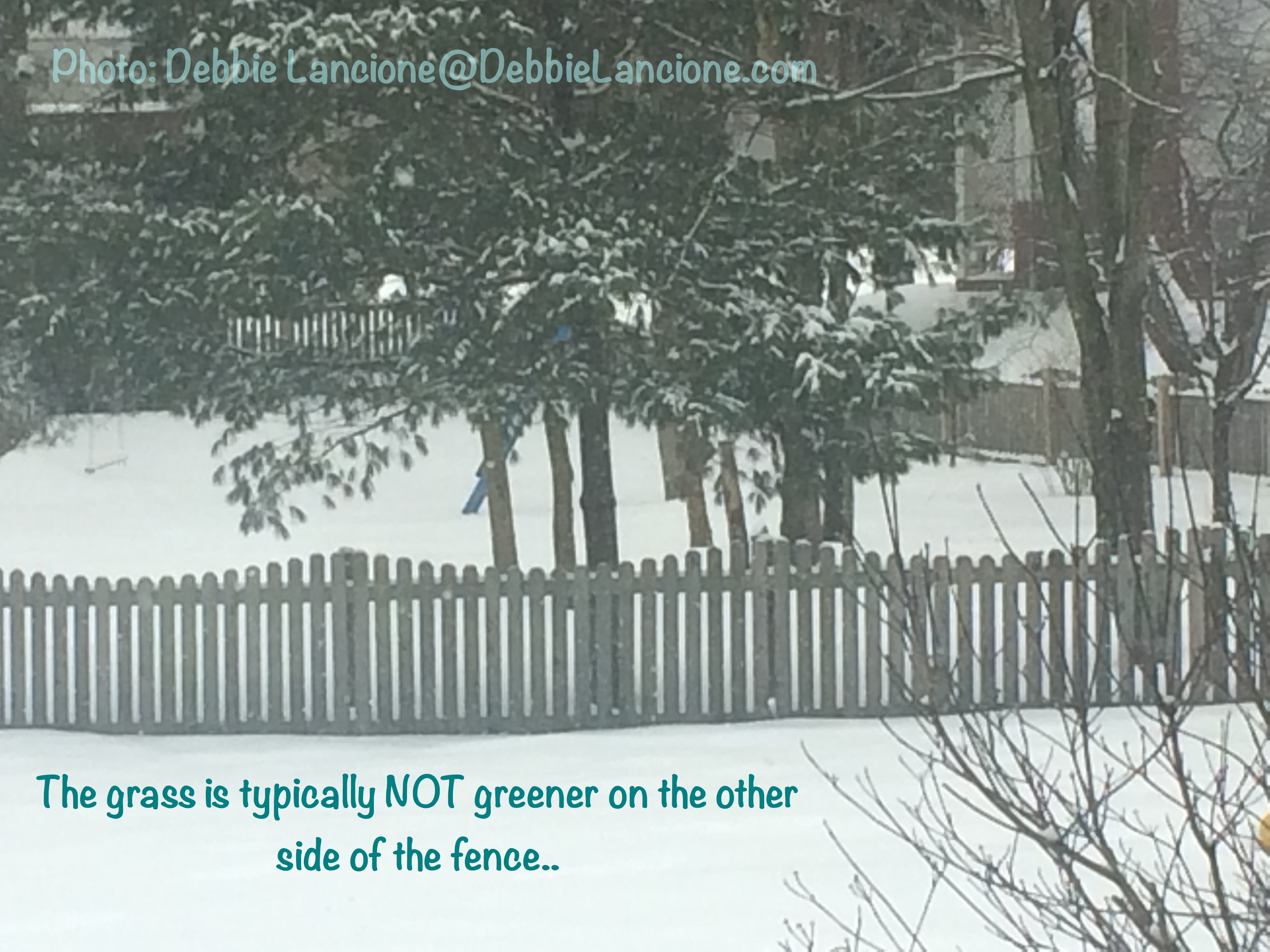 So you think the grass is greener on the other side of the Fence?